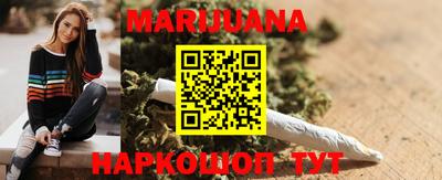 крисы Кунгур