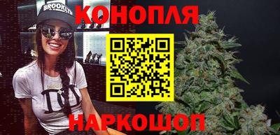 крисы Кунгур
