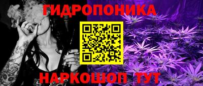 крисы Кунгур