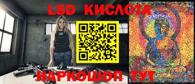 крисы Кунгур