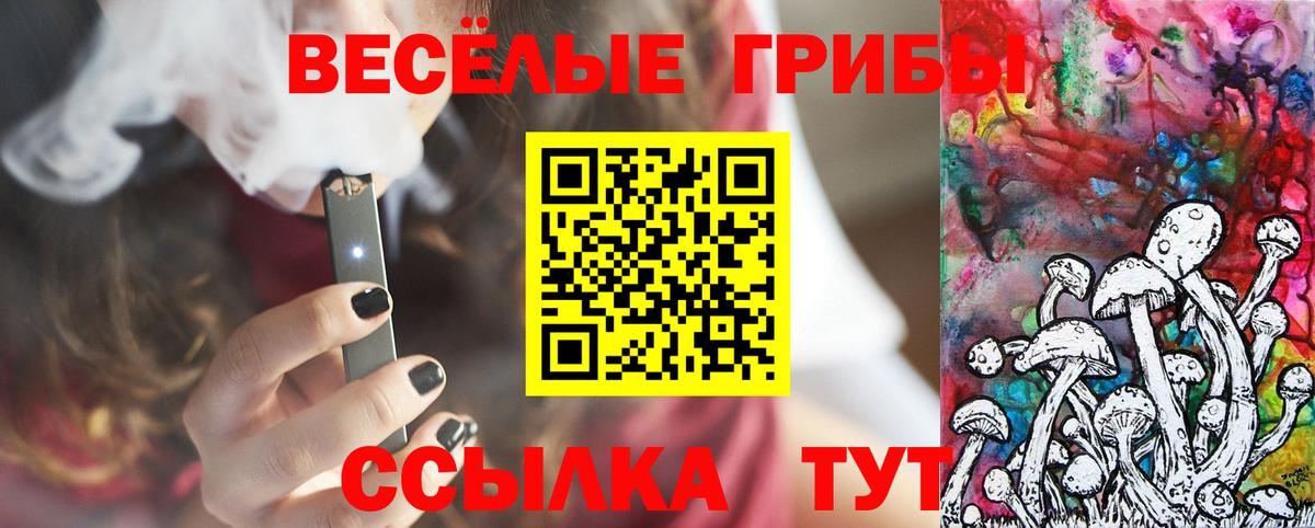 Галлюциногенные грибы прущие грибы Вязники